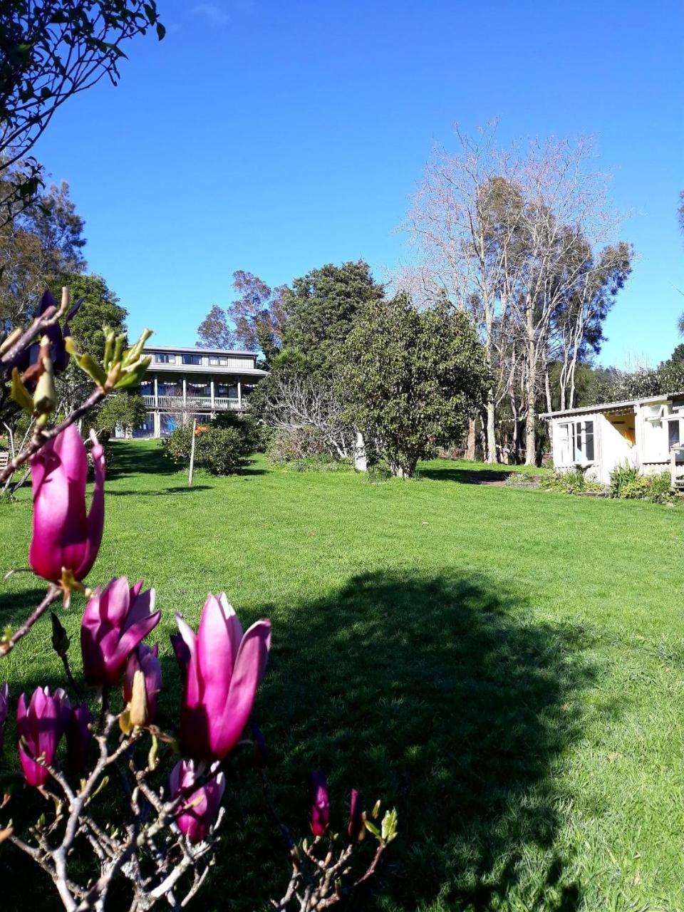 Mahamudra Buddhist Centre Hotel Colville Eksteriør billede